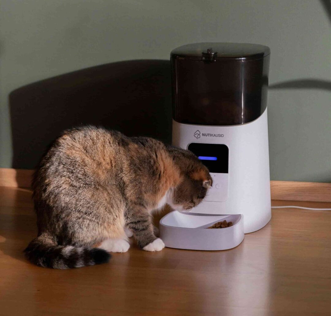 Dónde guardar la comida de tu mascota para evitar olores y mantener la cocina organizada